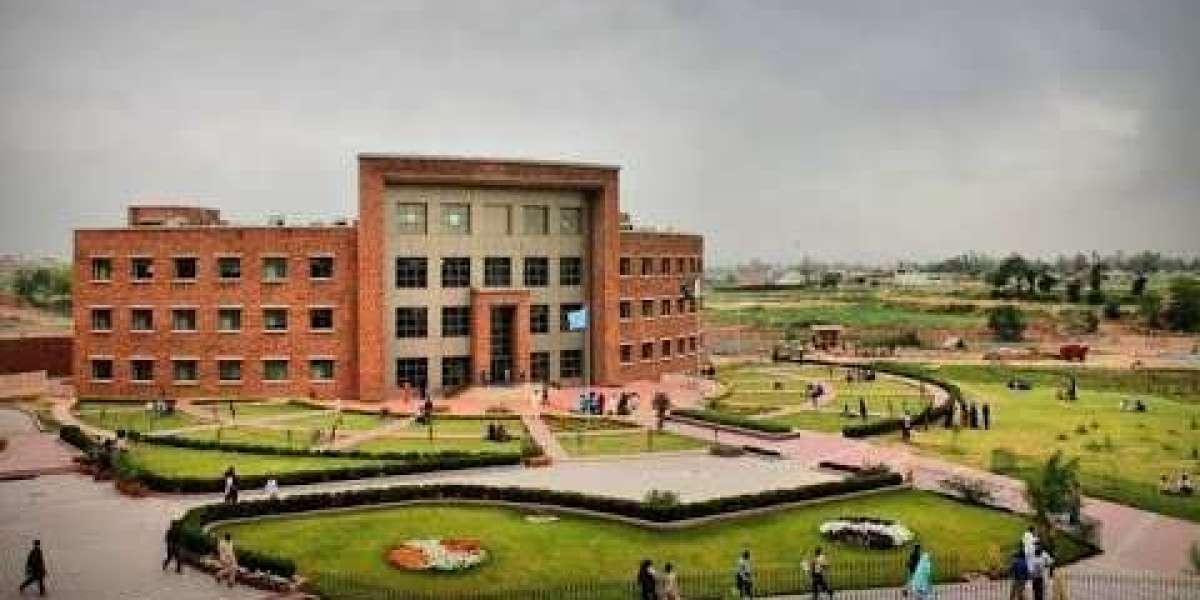 BS Radiography in Gujrat Pakistan: A Comprehensive Guide