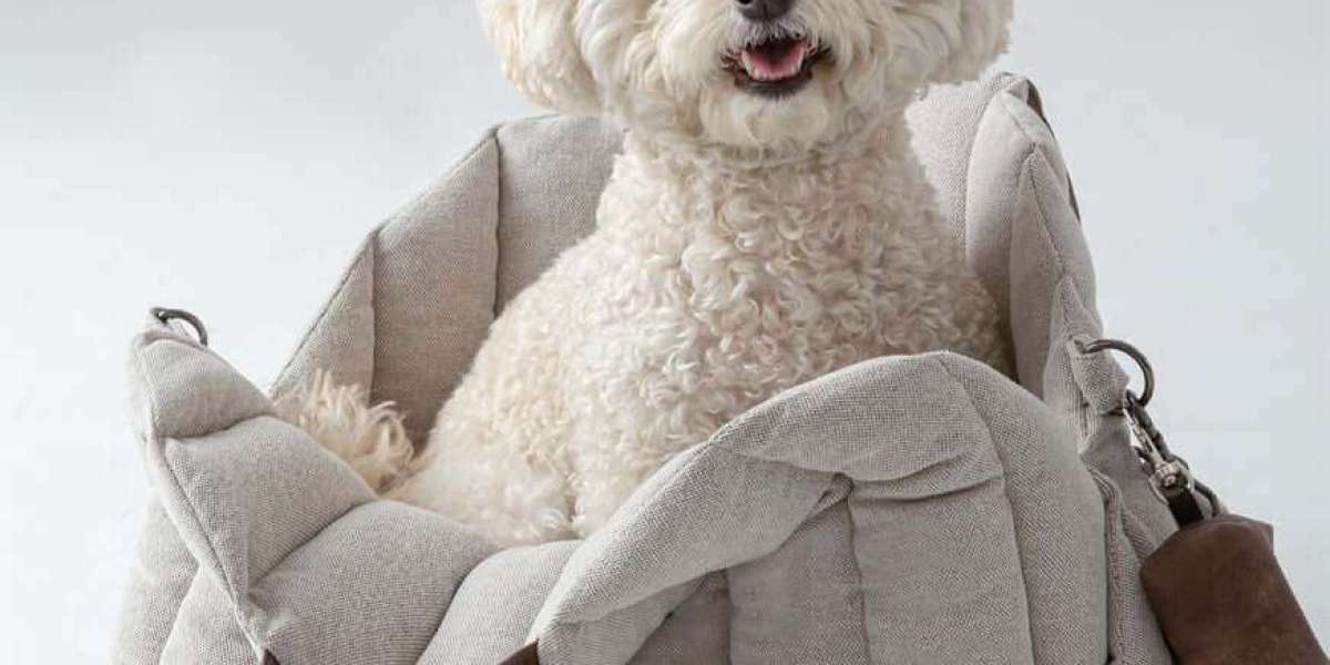 The Ultimate Guide to Choosing the Best Dog Carrier Purse