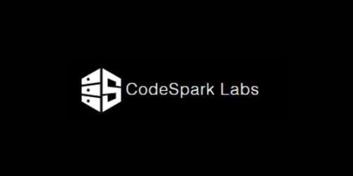 Top Services a Software Development Agency Offers & How They Benefit You