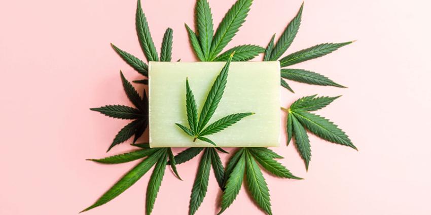 Boost Your Cannabis Business with a Marijuana SEO Agency | daddycow.com