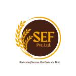 Shah Enterprises