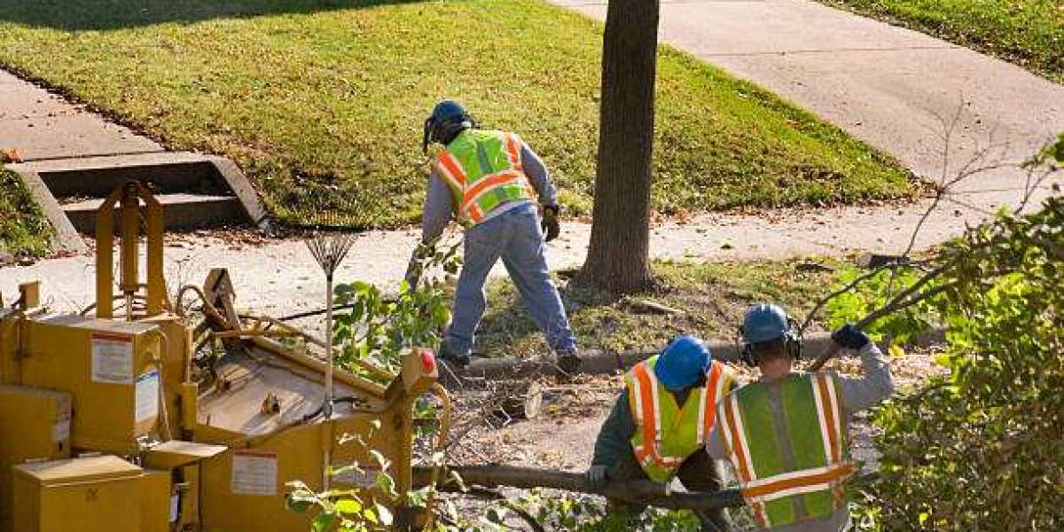 Tree Services in Penn Valley CA: Your Ultimate Guide