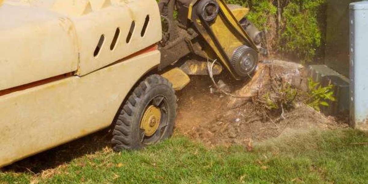 Stump Grinder Services Near Me: The Best Way to Remove Unsightly Tree Stumps