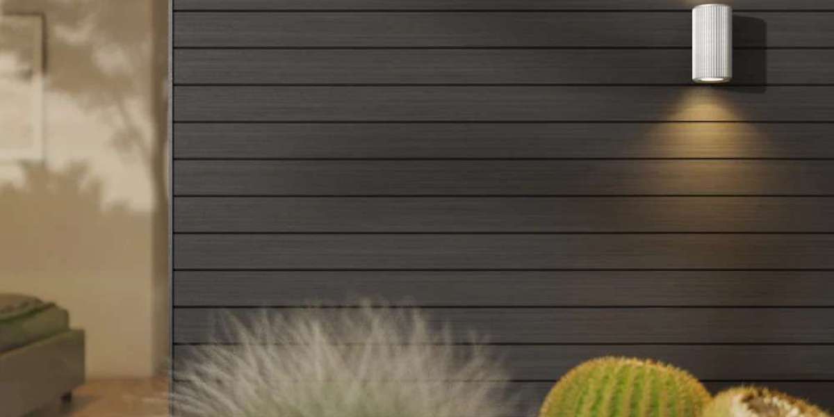 The Appeal of Black Siding Homes and the Benefits of Vinyl Siding Houses