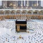 Salah Travels