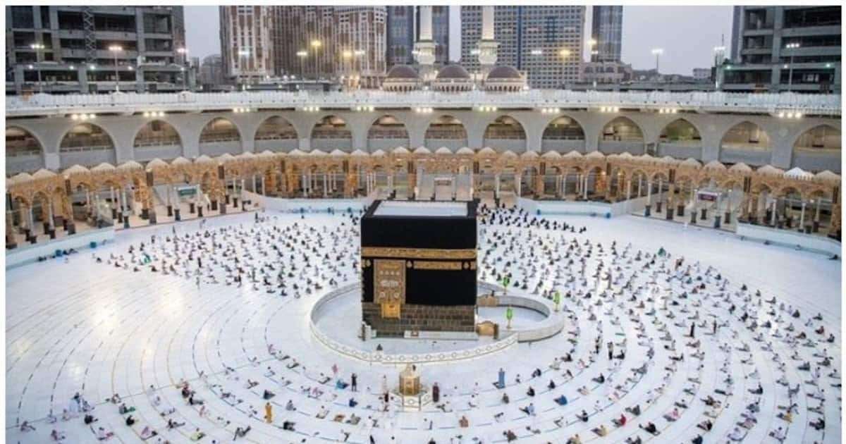 Salah Travels