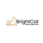 BrightCat Data Analytics Inc