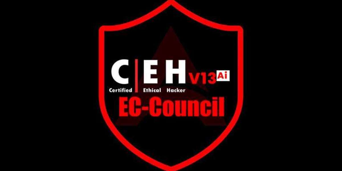 Learn Ethical Hacking from Home: Online Training in Pune