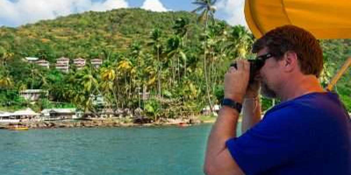 Embrace Green Fins for a Sustainable Adventure