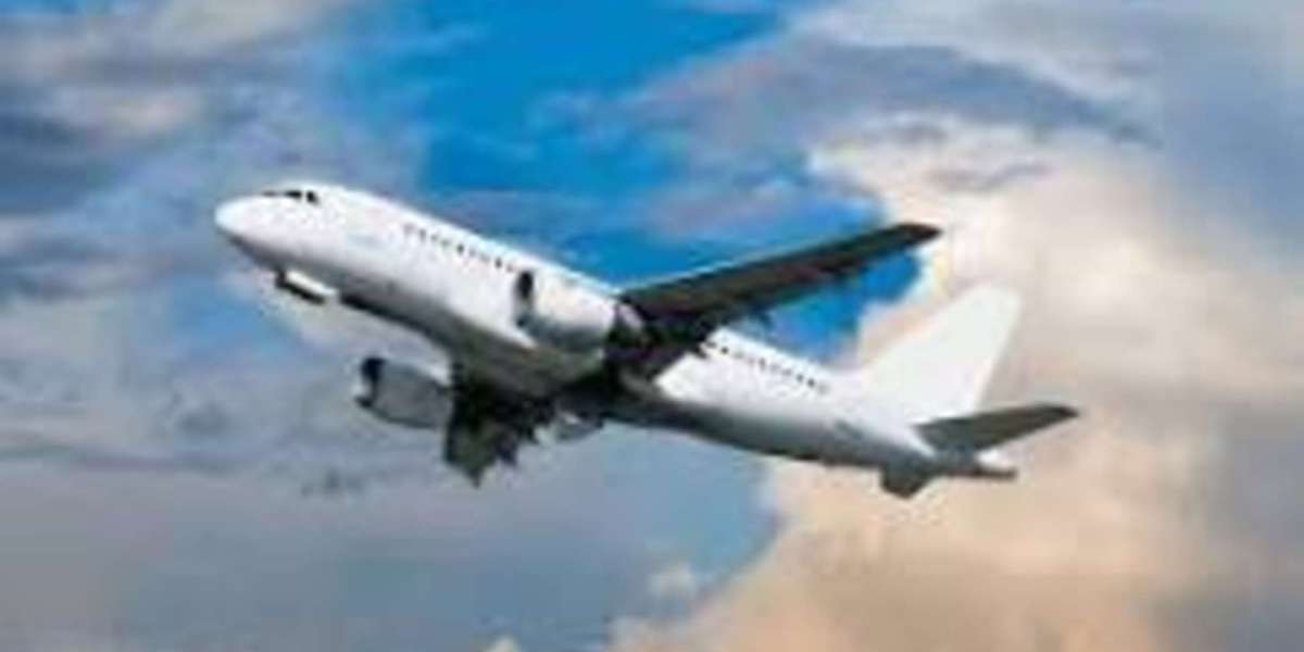What Disqualifies You from Being a Flight Attendant?