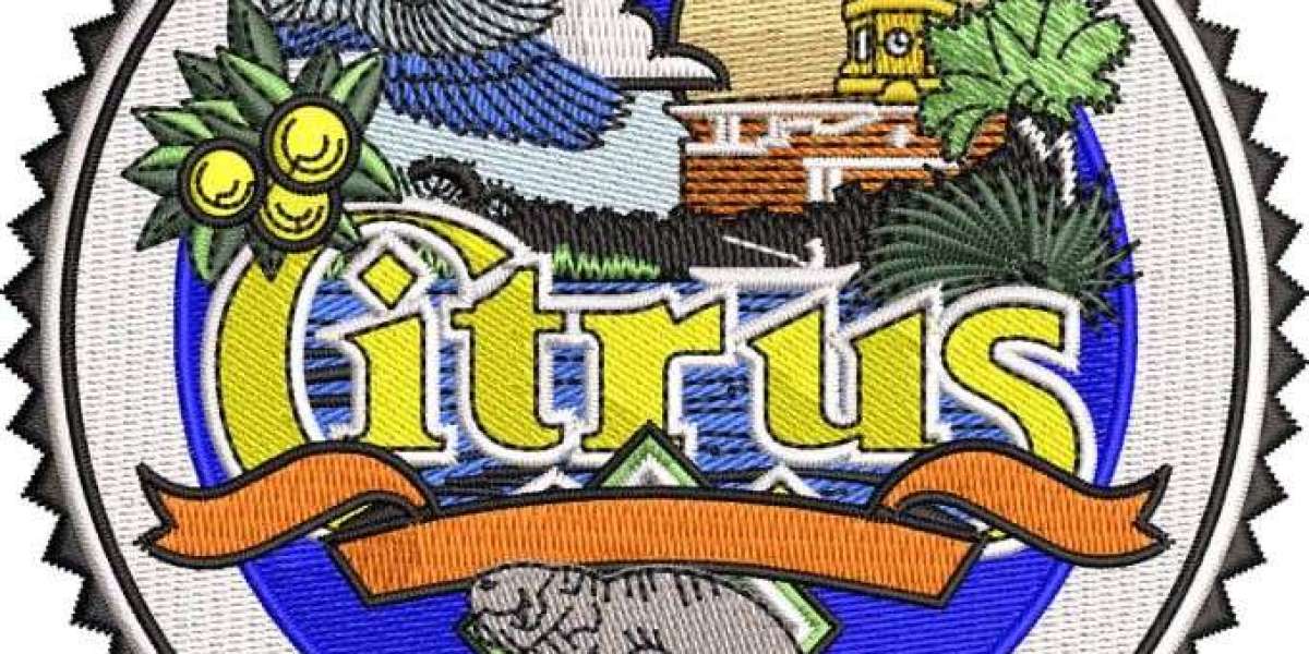 Choosing the Right Custom Embroidery Digitizing Services for Your Needs