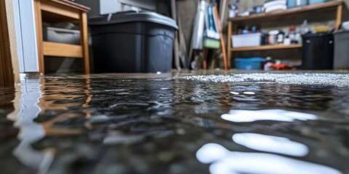 Immediate Actions to Take After Discovering Water Damage