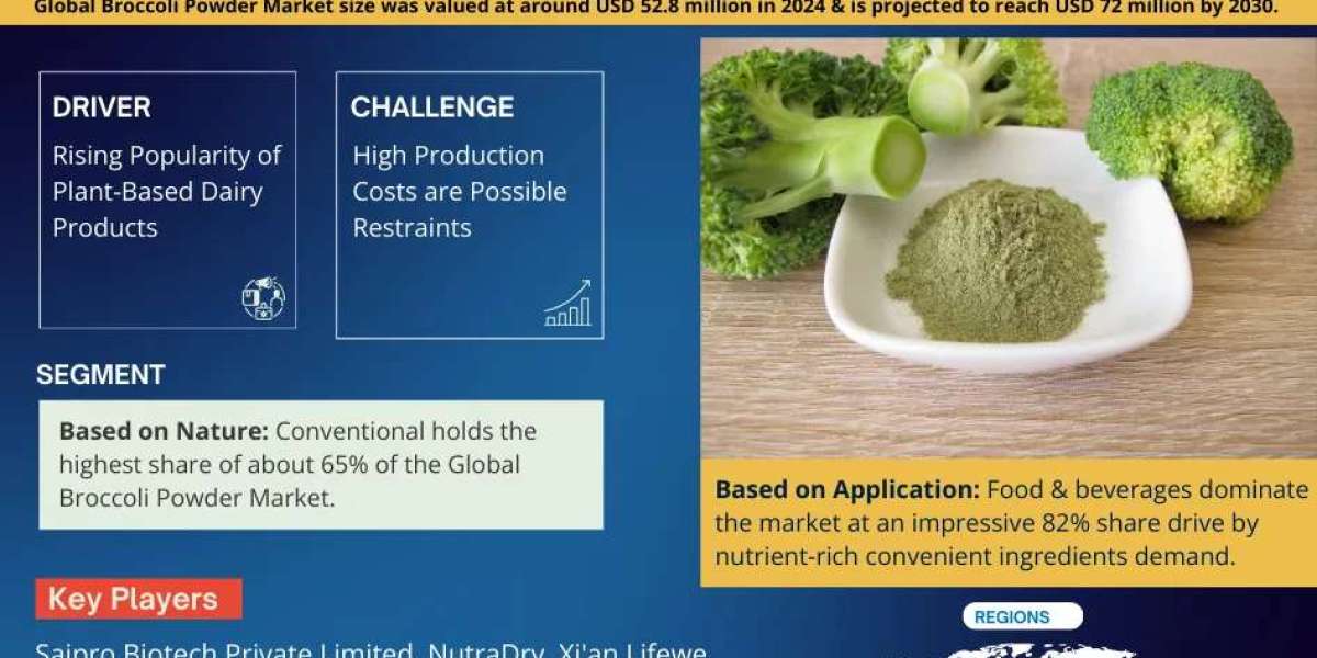 Broccoli Powder Market Share, Size and Future Projections 2025-30