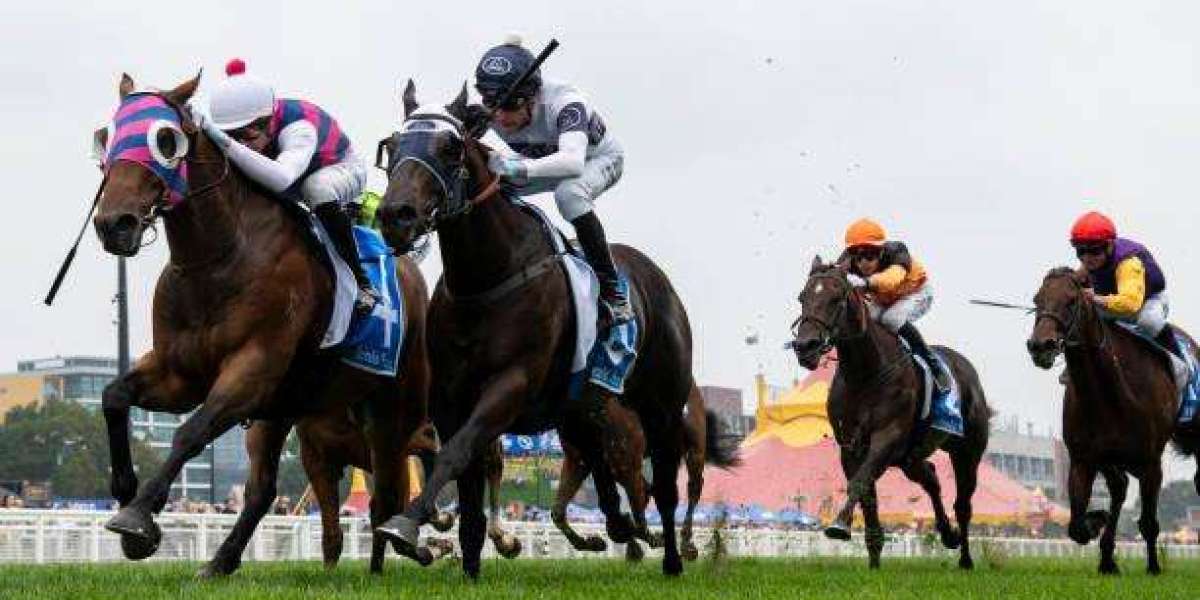 OKEBET Review – A Comprehensive Look at This Betting Platform