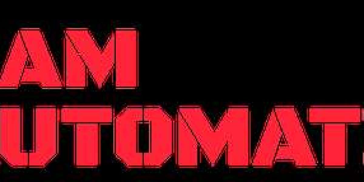 Maximize Business Efficiency with Ram Automations