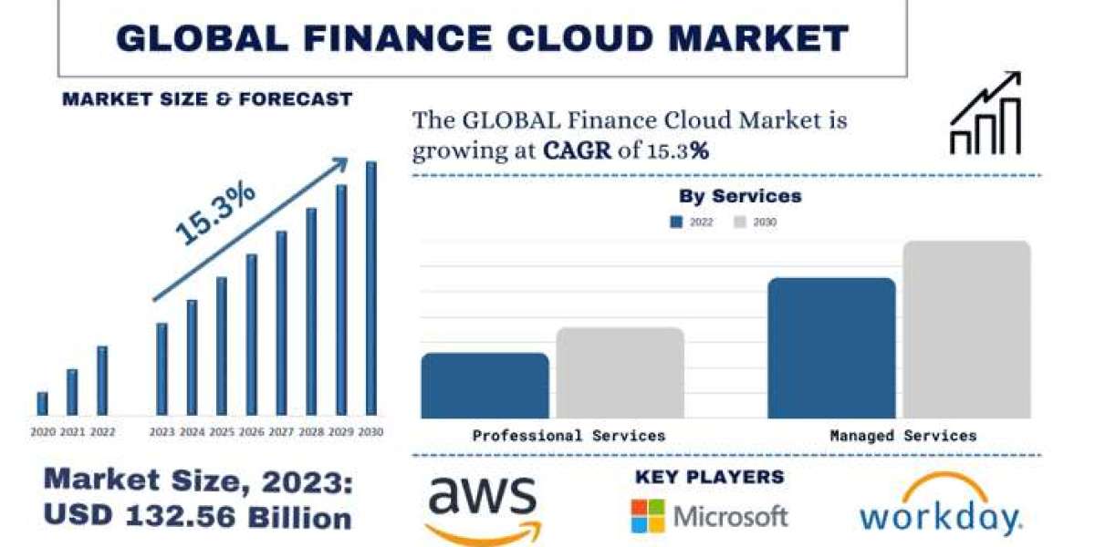 Finance Cloud Market Report Size, Share, Growth and Forecast 2023-2030