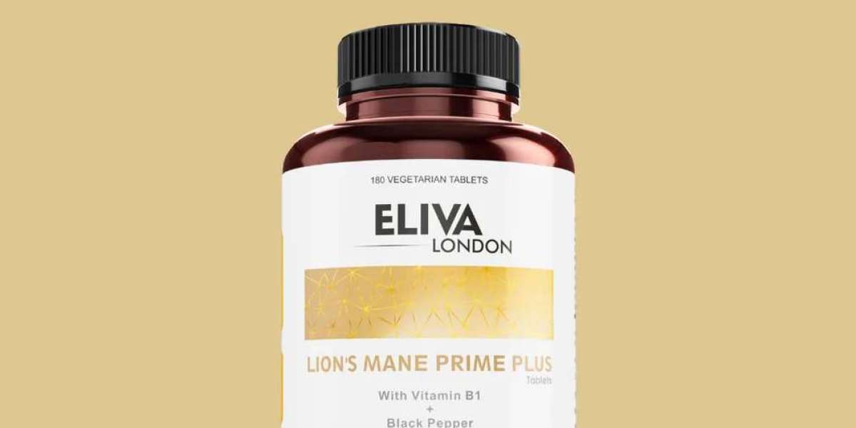 How to Choose the Best Lion’s Mane Supplement in the UK: A Buyer’s Guide