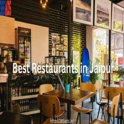Looking for the Best Restaurant in Jaipur for Top Dining Spots | 365 Ads Profile Picture