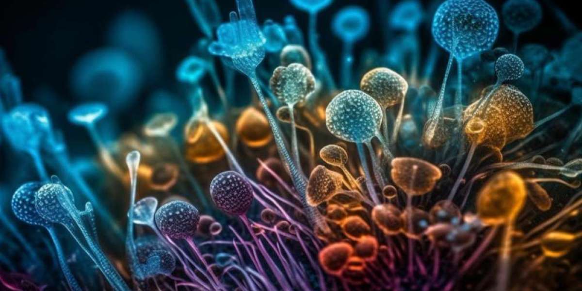 Human Papillomavirus Market Insights: Key Growth Drivers and Industry Trends