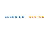 Meticulosity Cleaning and Restoration