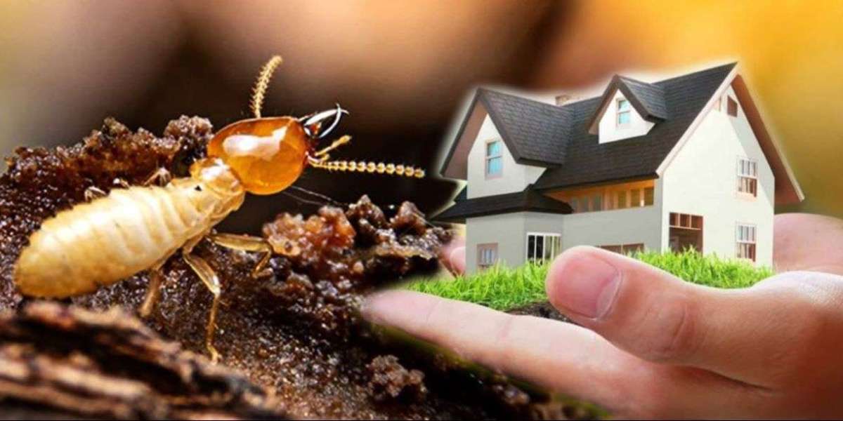 How UV Light and Sound-Based Pest Repellents Are Changing the Industry?