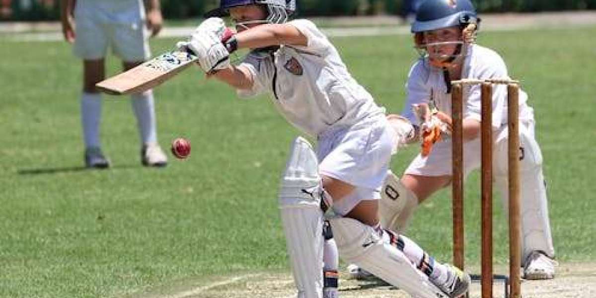 From Amateur to Pro: Building Your Cricket Profile with Diamond Exchange ID for IPL 2025.