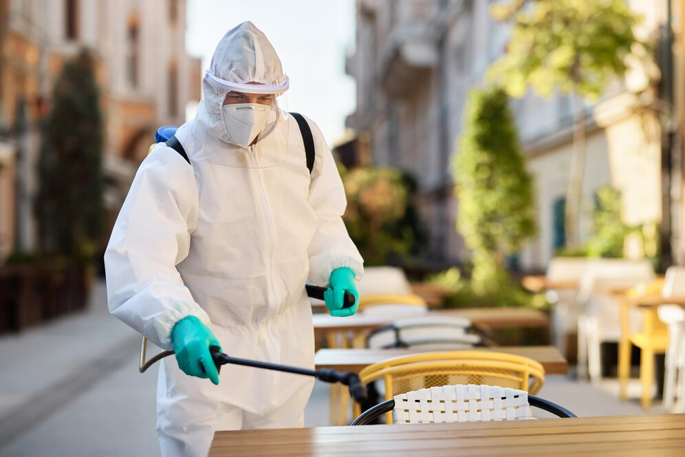 Pest Control Myths That Could Be Costing You