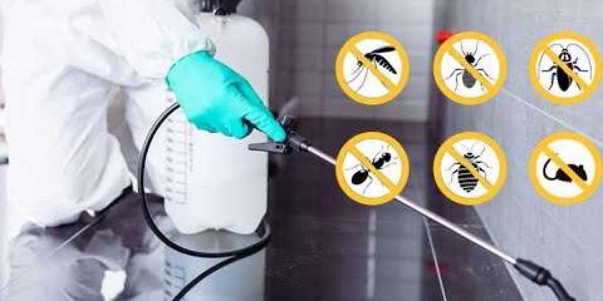 Effective Pest Control Surrey: Protecting Homes and Businesses from Infestations