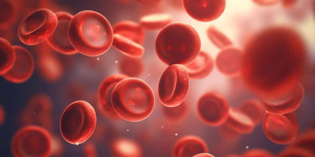 The Evolution of Acute Myeloid Leukemia: Current Struggles, Scientific Advances, and Hope Ahead