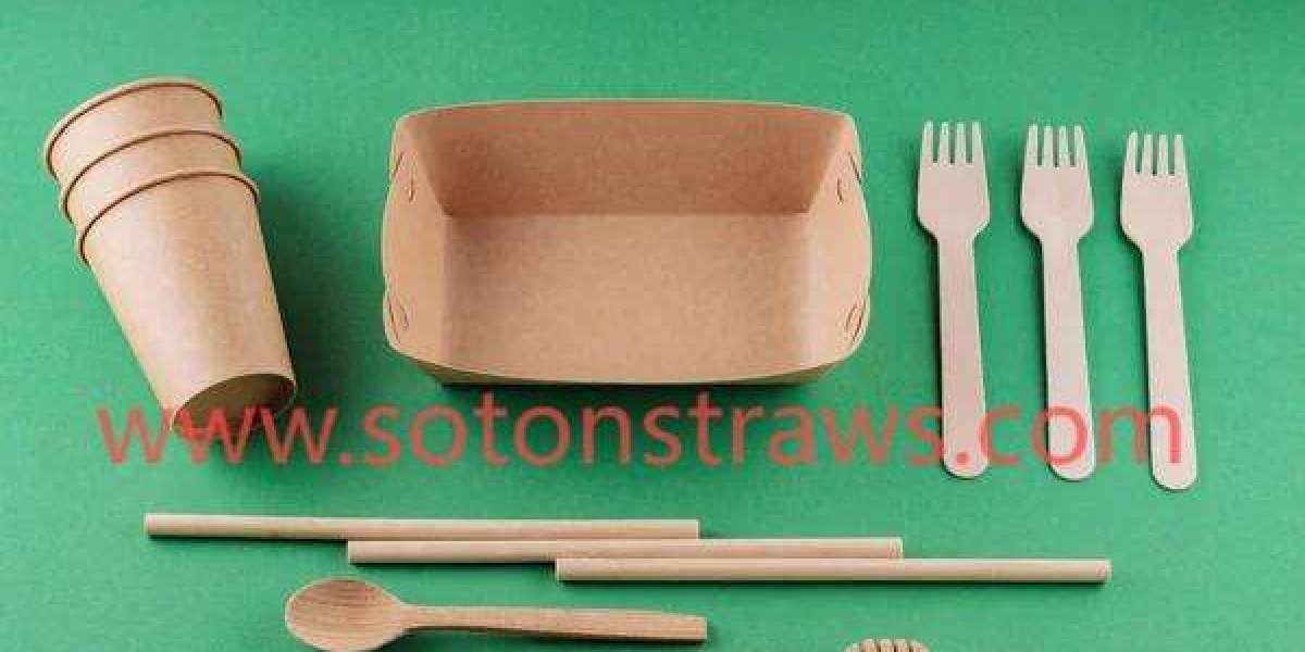 Replacing Plastic with Eco-Friendly Cutlery in the Food Industry