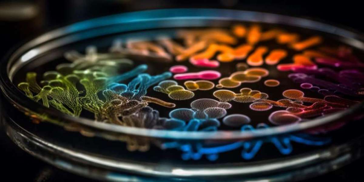 Liquid Biopsy: The Future of Cancer Diagnostics and Treatment