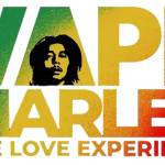 vape Vape