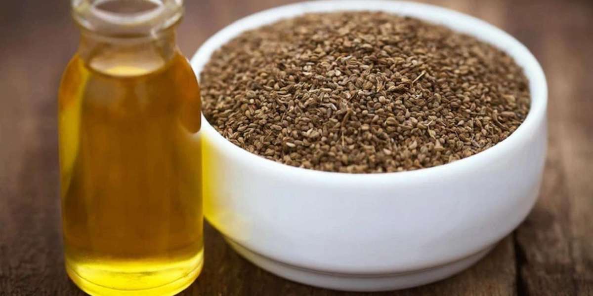 Unlocking Nature’s Power: Finding the Best Essential Oil Suppliers in India