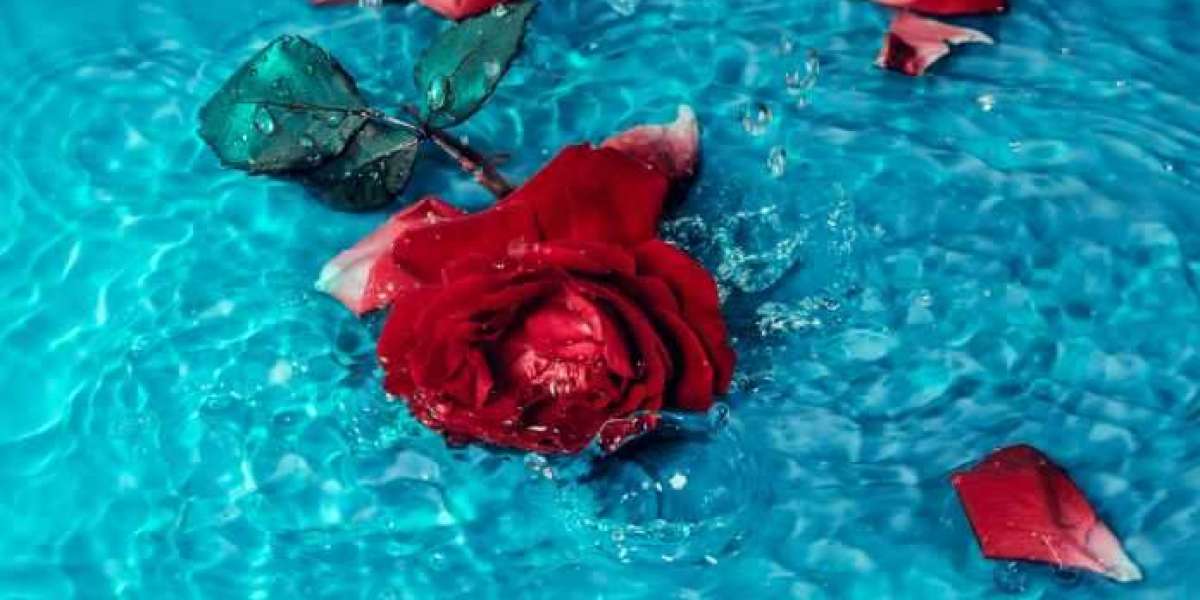 How to Preserve a Rose To Keep It Forever