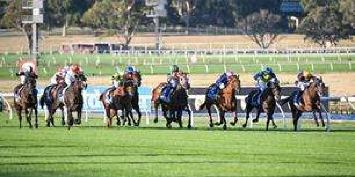 Top Australia Betting Apps for 2025: A Guide to Safe and Smart Mobile Betting