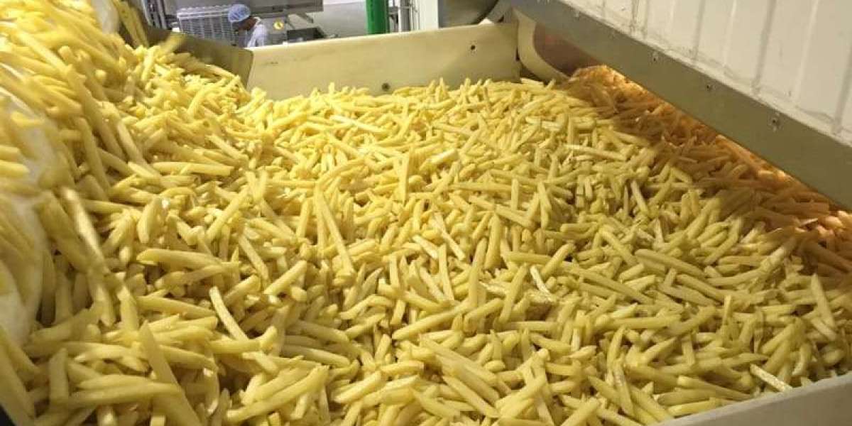 Setting Up a Frozen Potato Manufacturing Plant Report 2025