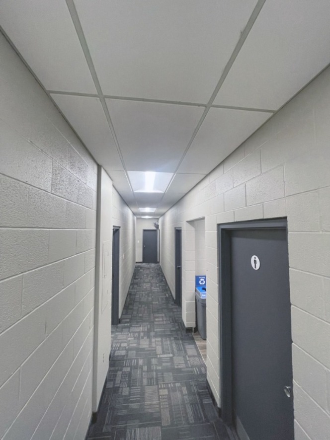 Commercial Painting Contractors in Hamilton: Precision Painting at Your Service | Vipon