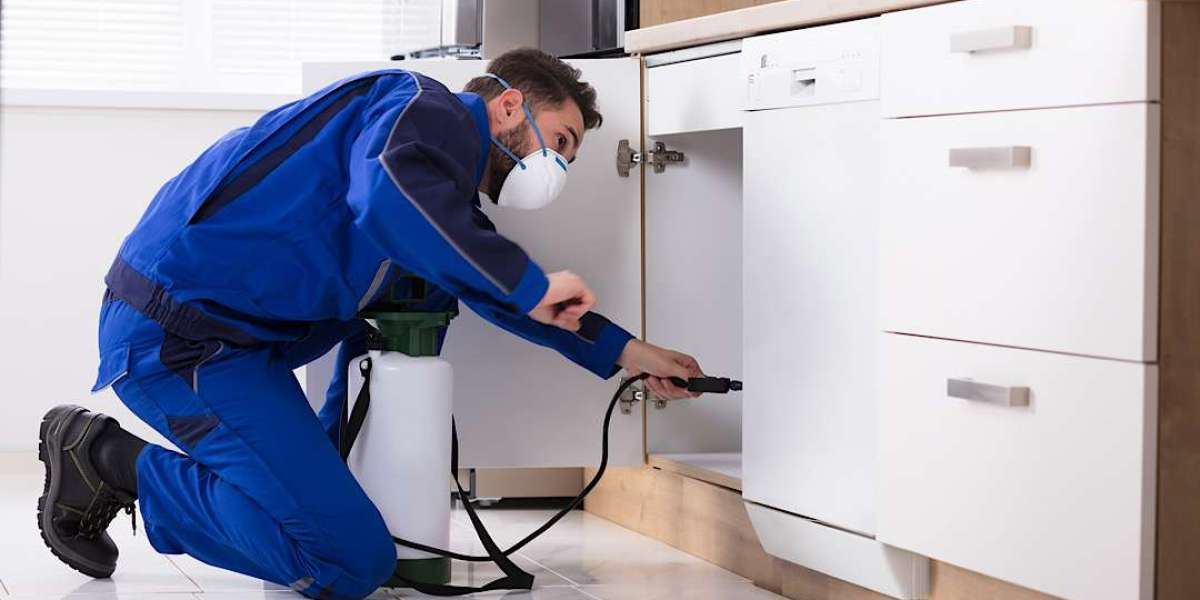 How to Select the Best Las Vegas Spider Exterminator to Meet Your Needs