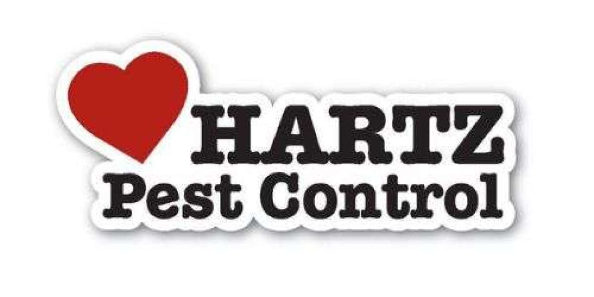 How a Pest Control Company in Houston Can Protect Your Investment