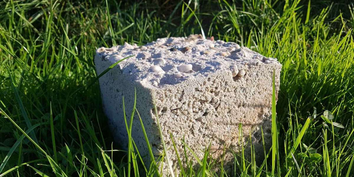 Bio-Concrete Manufacturing Plant Report: Investment Opportunities and Industry Trends