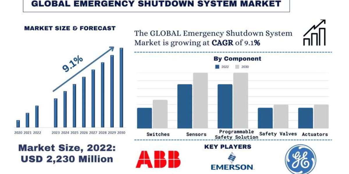 Emergency Shutdown System Report Market Size, Share, Growth and Forecast 2023-2030