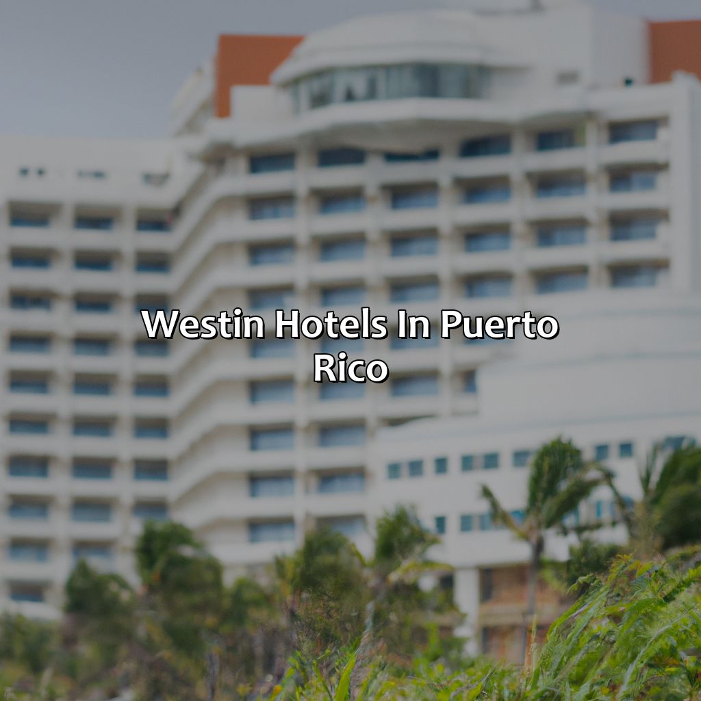 Westin Hotels In Puerto Rico – Krug