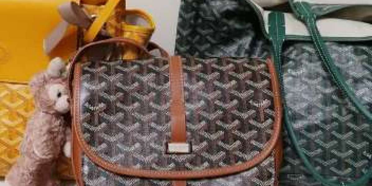 Goyard Goyardine大使公文包，金錢的顏色是綠色！