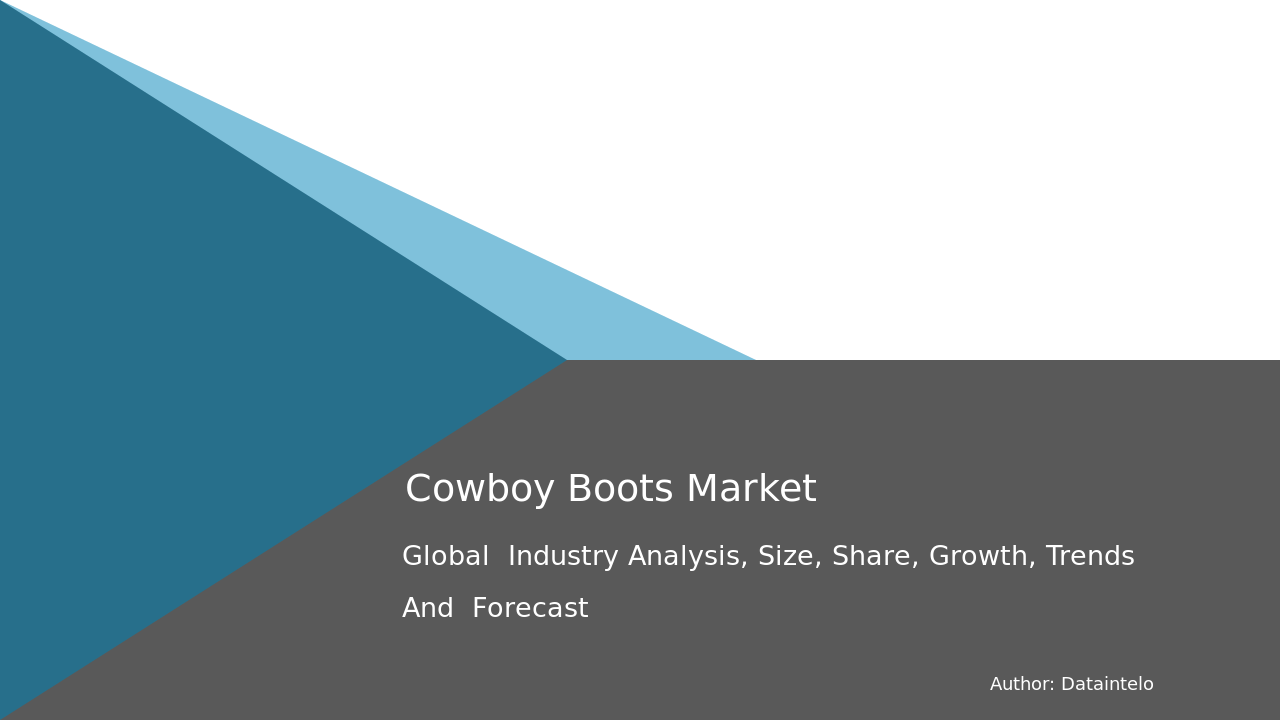 Cowboy Boots Market Report | Global Forecast From 2025 To 2033