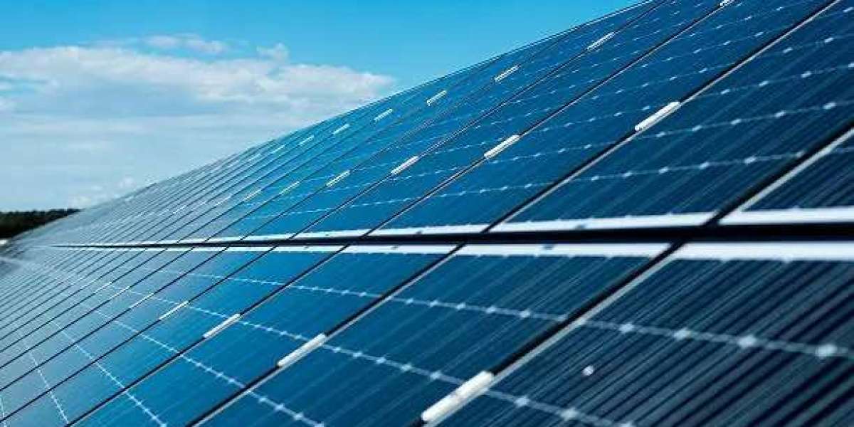Dual-Use Land Planning with Agro-Solar Tech