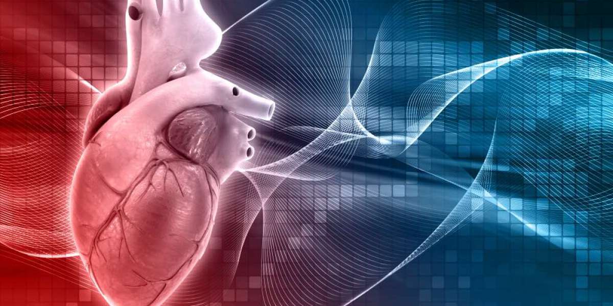 The Global Pacemakers Market: Key Insights and Future Trends