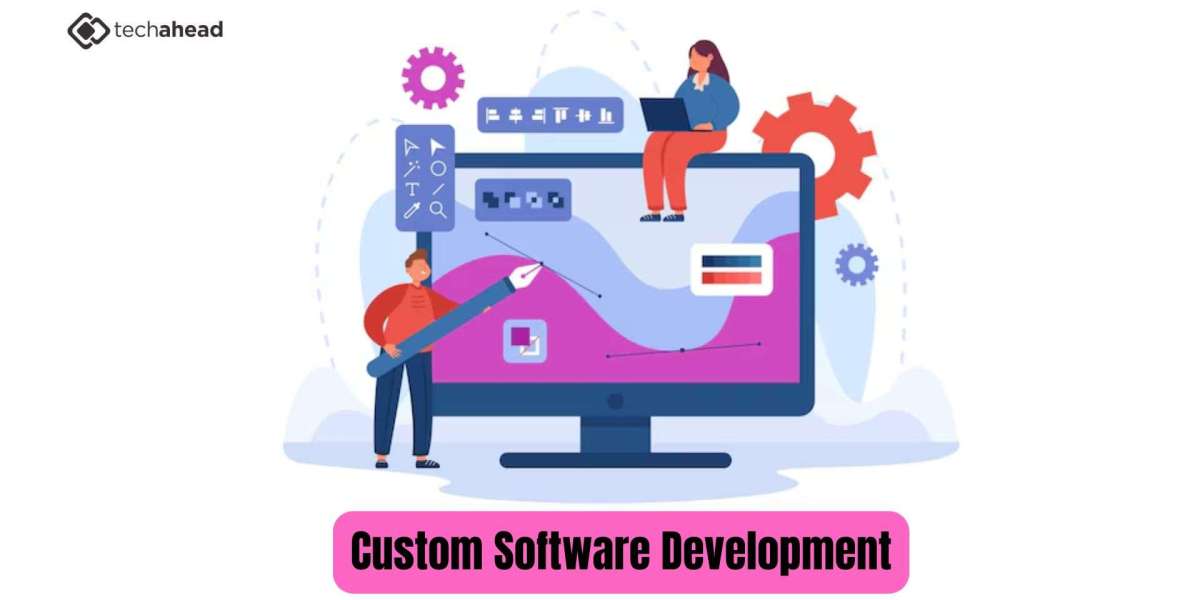 The Imperative for Customized Development