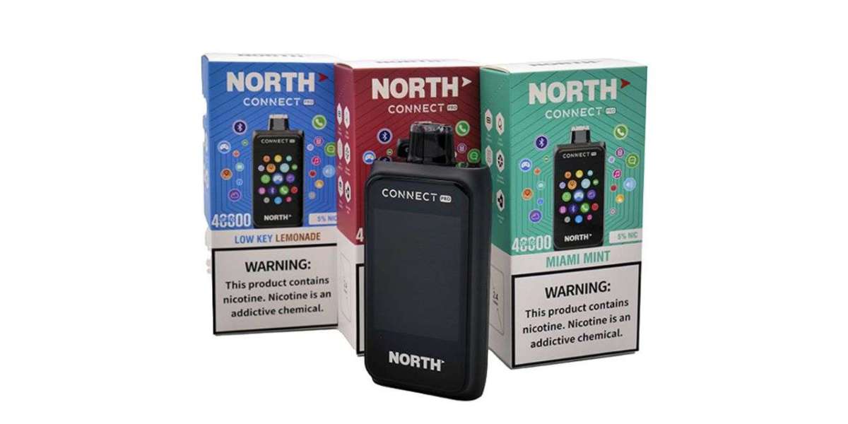 Flavor Tour: Exploring the Bold & Fruity World of North Connect Vapes