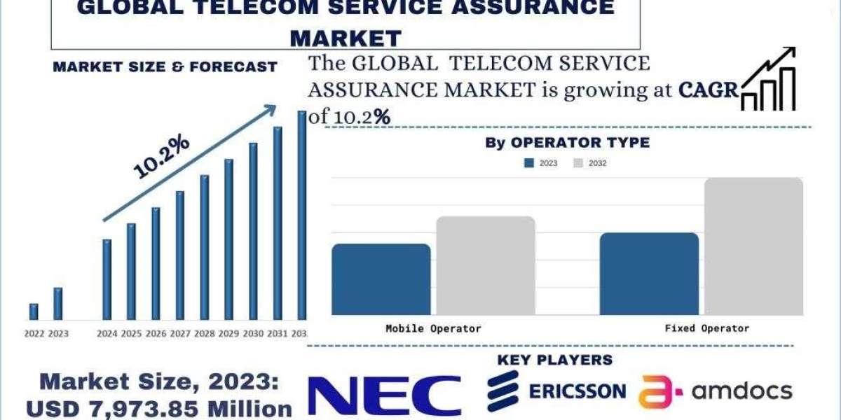 Telecom Service Assurance Market Report Trends, Opportunities and Forecast (2024-2032)