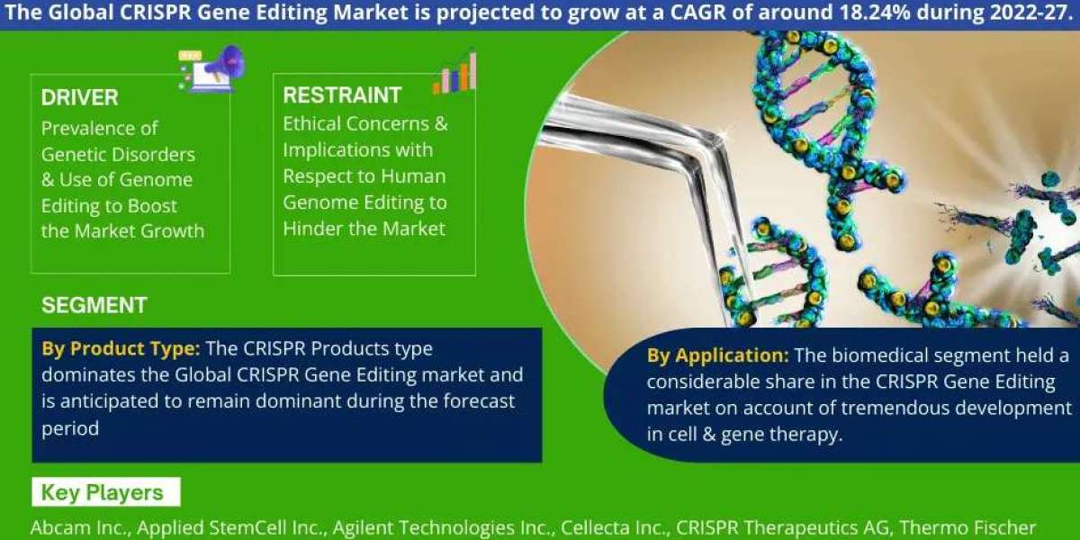 CRISPR Gene Editing Industry Analysis: Companies, Competitors & Outlook 2027